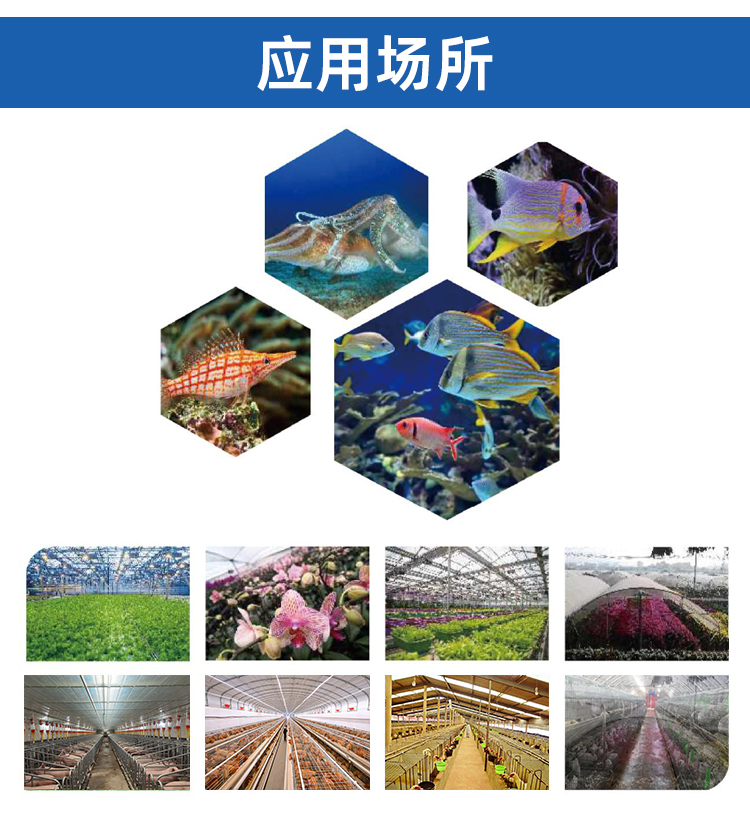 泳池详情页_02.jpg